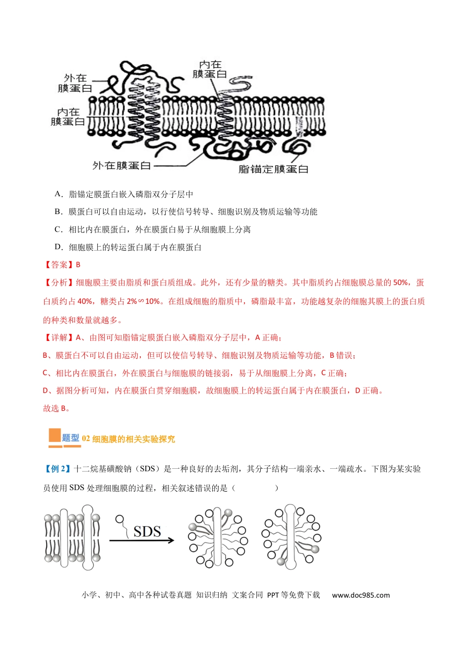 高中生物考点题型突破——专题02 细胞的基本结构（9大题型）（解析版）.docx