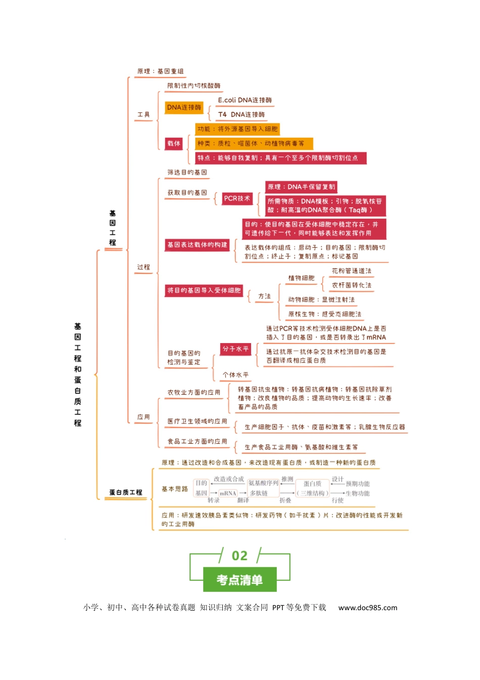 高中生物 知识清单37 基因工程和蛋白质工程（4大考点+10个易错点）.docx