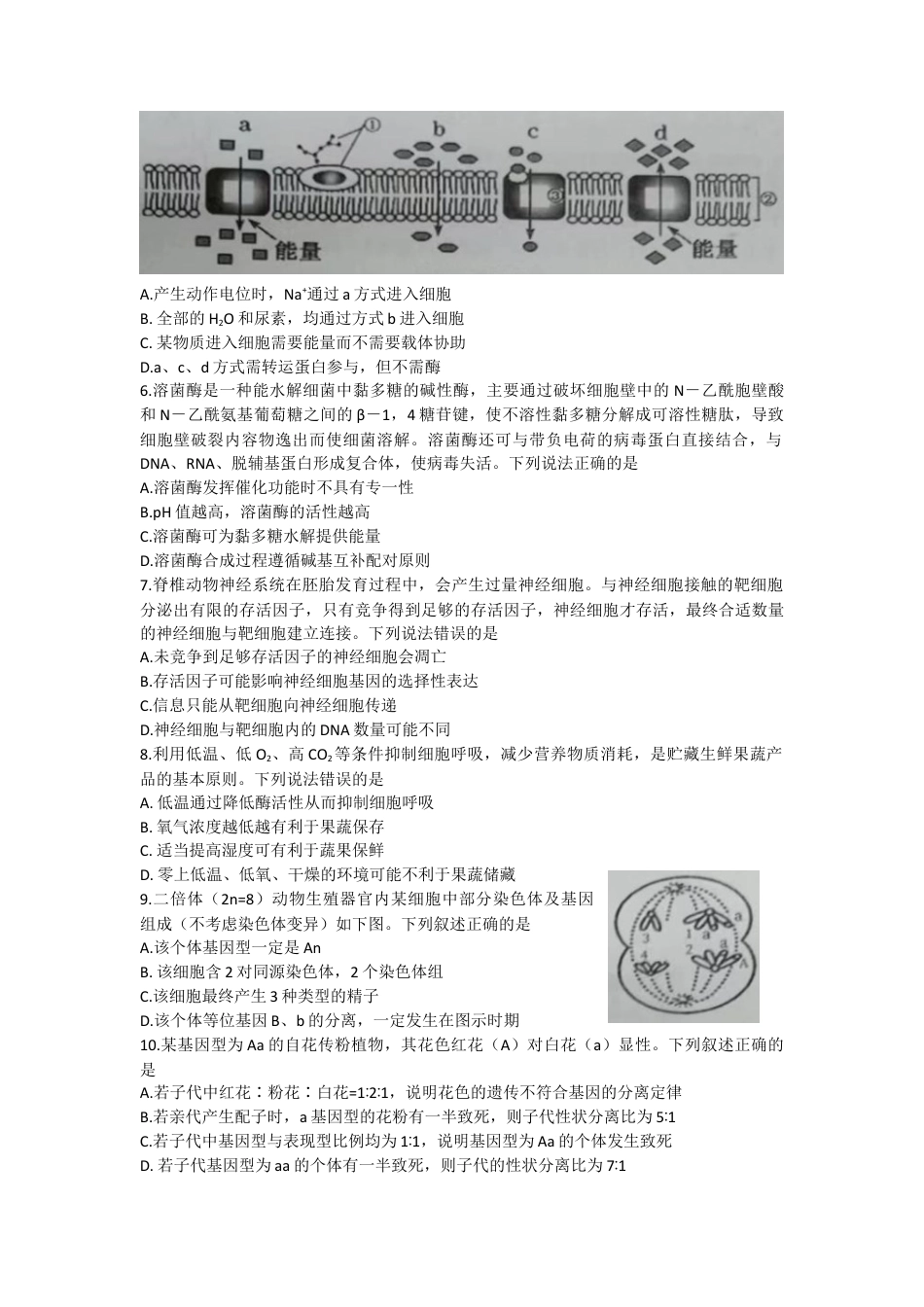 山东省潍坊高密、诸城、安丘2022-2023学年高三上学期10月联考生物试题.docx