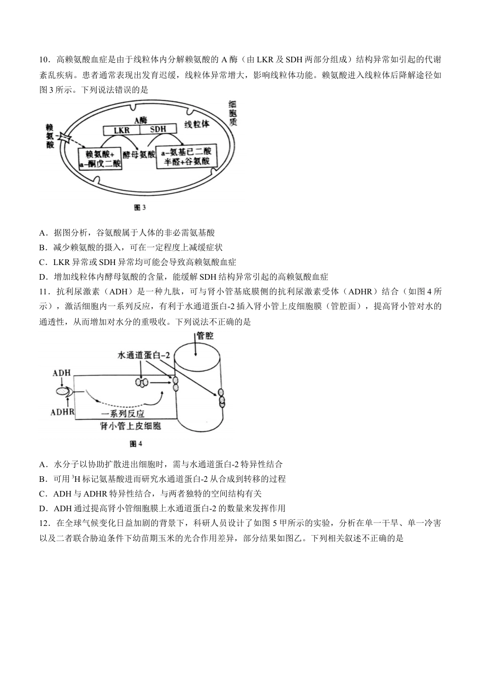生物 重庆市巴蜀中学校2022-2023学年高三上学期高考适应性月考（二）生物试题(1).docx