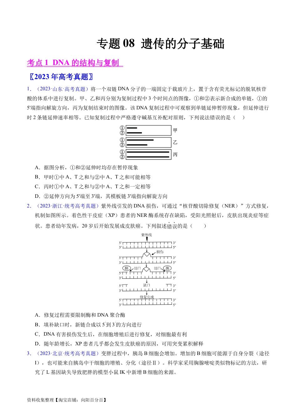 专题08 遗传的分子基础-学易金卷：五年（2019-2023）高考生物真题分项汇编（全国通用）（原卷版）.docx