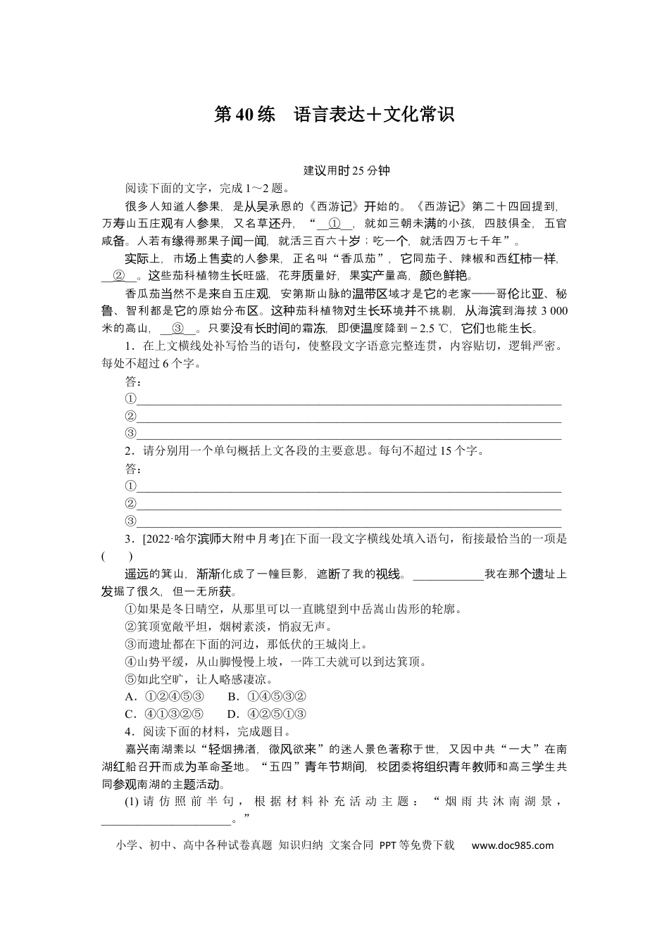 高考语文 第40练 (4).docx