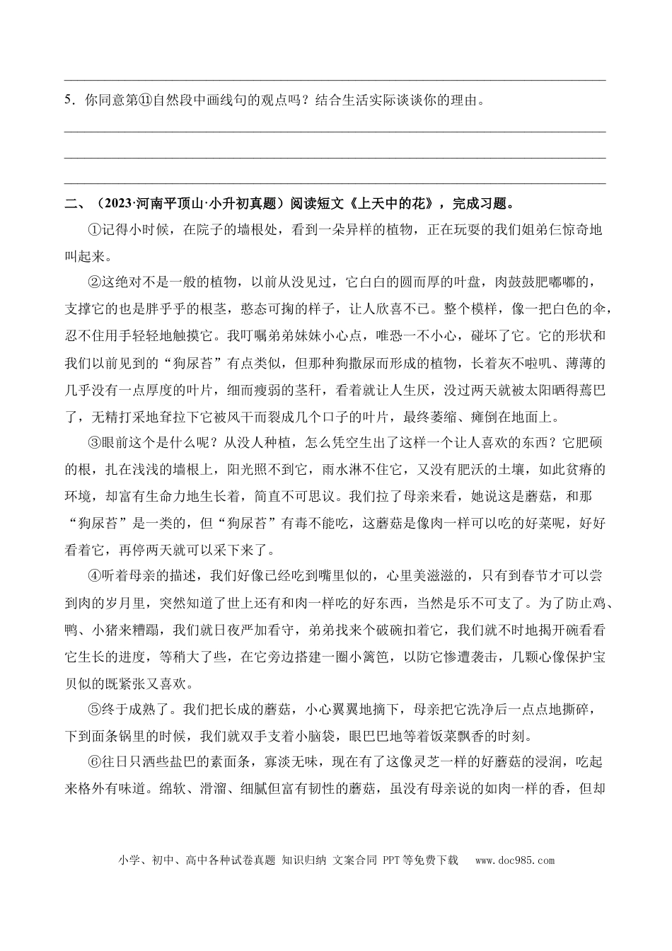 小升初语文总复习【讲练测-记叙文阅读】专题14 分析句段的作用（专项训练）.docx