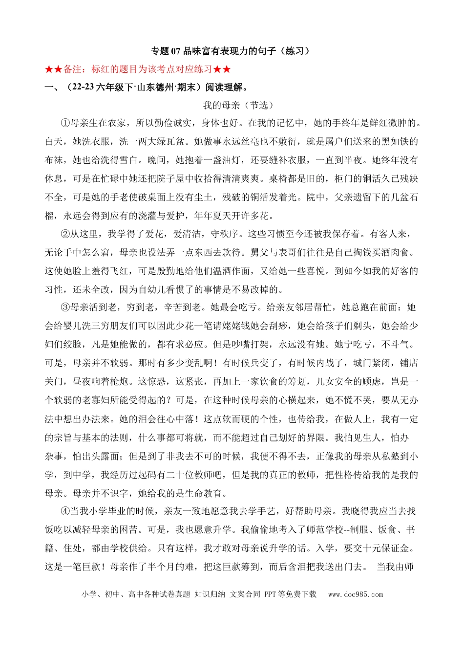 小升初语文总复习【讲练测-记叙文阅读】专题07 品味富有表现力的句子（练习）.docx