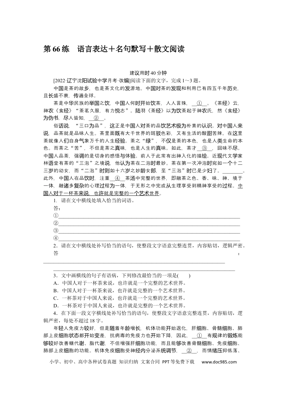 高考语文 第66练 (4).docx