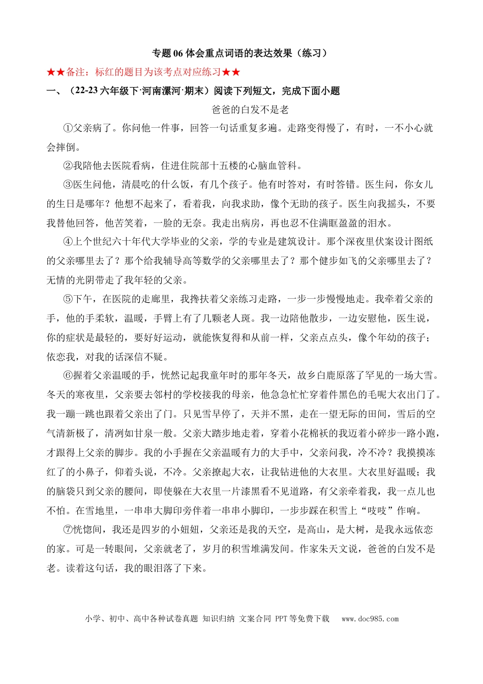 小升初语文总复习【讲练测-记叙文阅读】专题06 体会重点词语的表达效果（练习）.docx