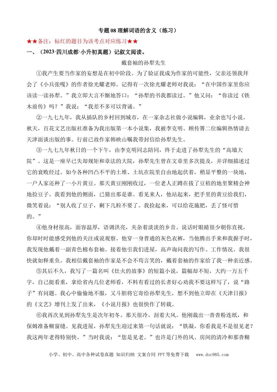 小升初语文总复习【讲练测-记叙文阅读】专题08 理解词语的含义（练习）.docx