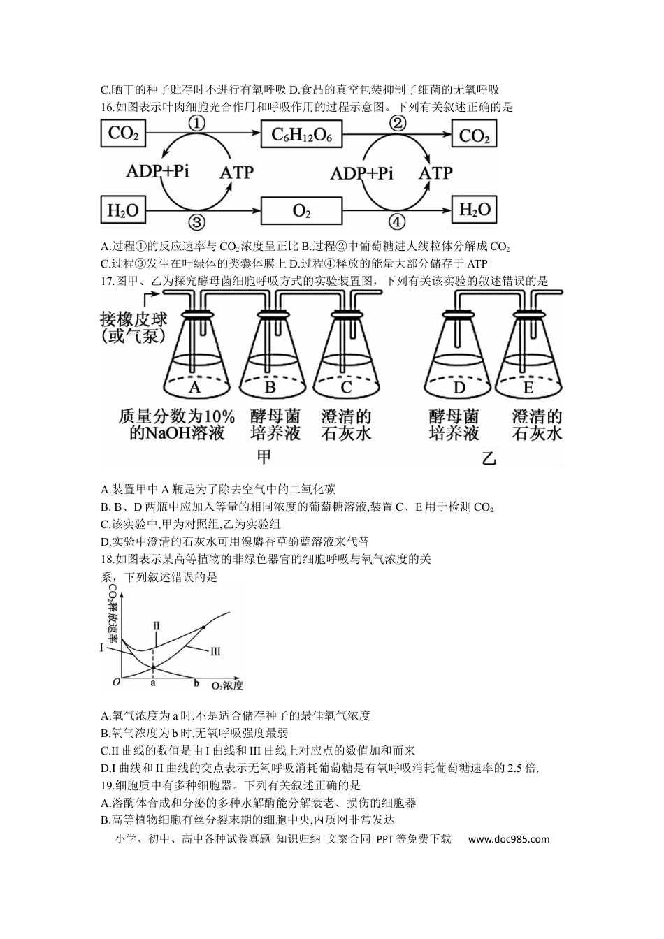 黑龙江省牡丹江二中23届高三上学期第二次阶段测试  生物含答案.docx