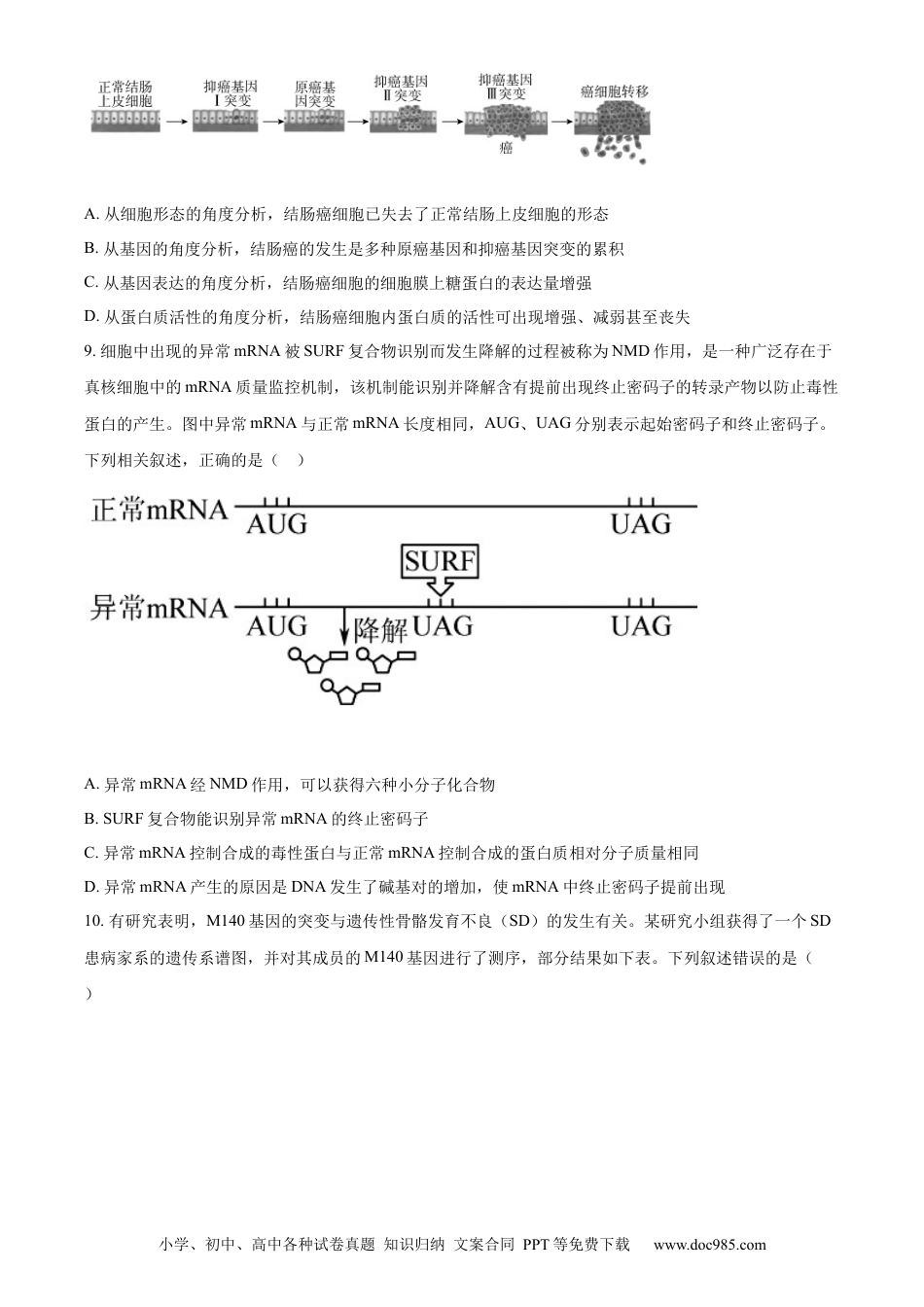 江西省新余市一中2022-2023学年高二上学期开学考试生物试题.docx
