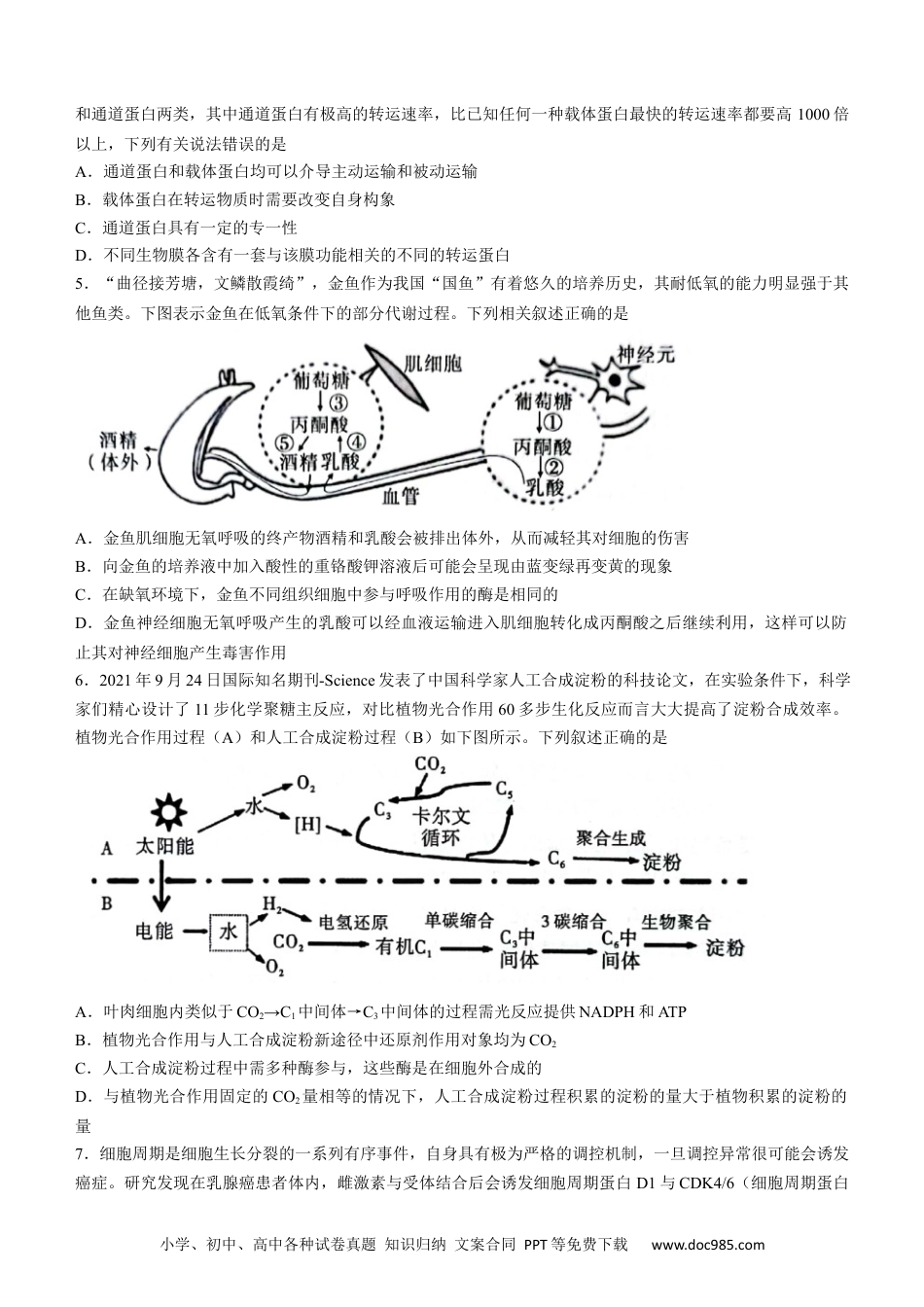 安徽省江淮十校2022-2023学年高三上学期第一次联考生物含答案.docx