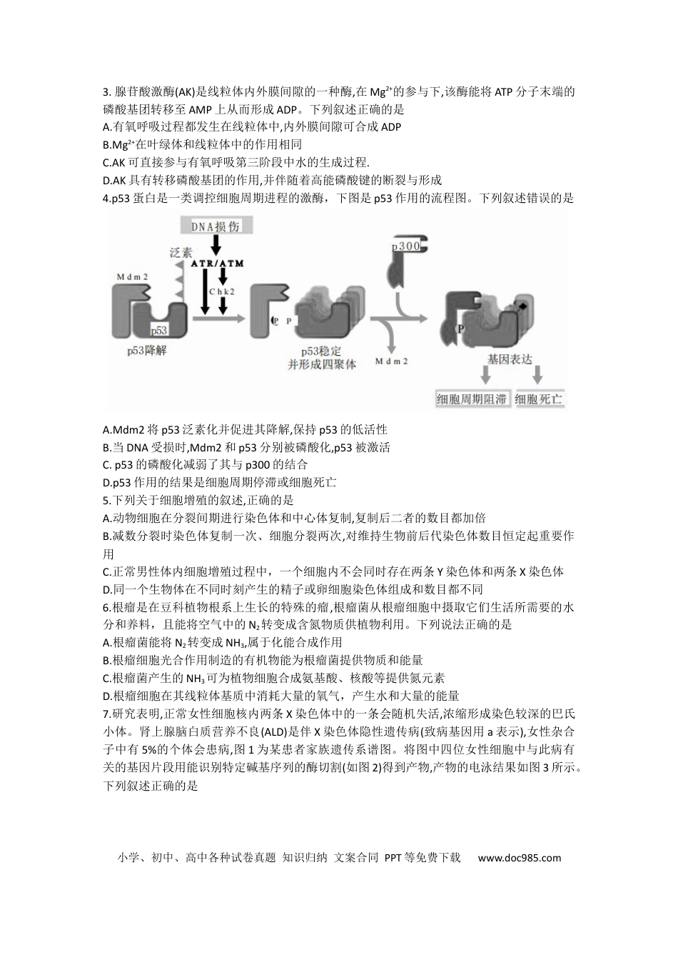 甘肃省张掖市某重点校2022-2023学年高三上学期期中检测生物试题.docx