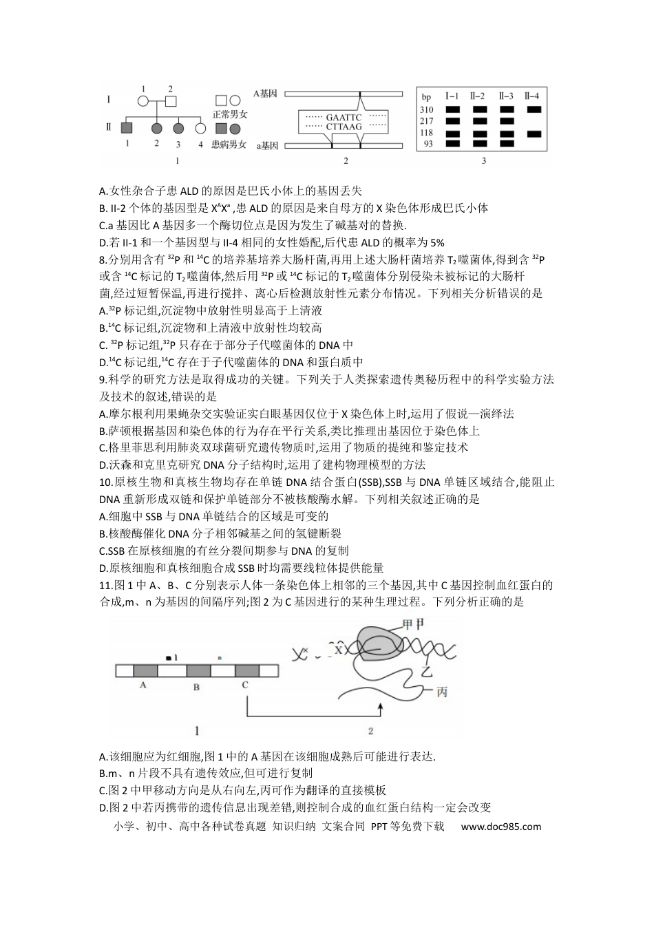 甘肃省张掖市某重点校2022-2023学年高三上学期期中检测生物试题.docx