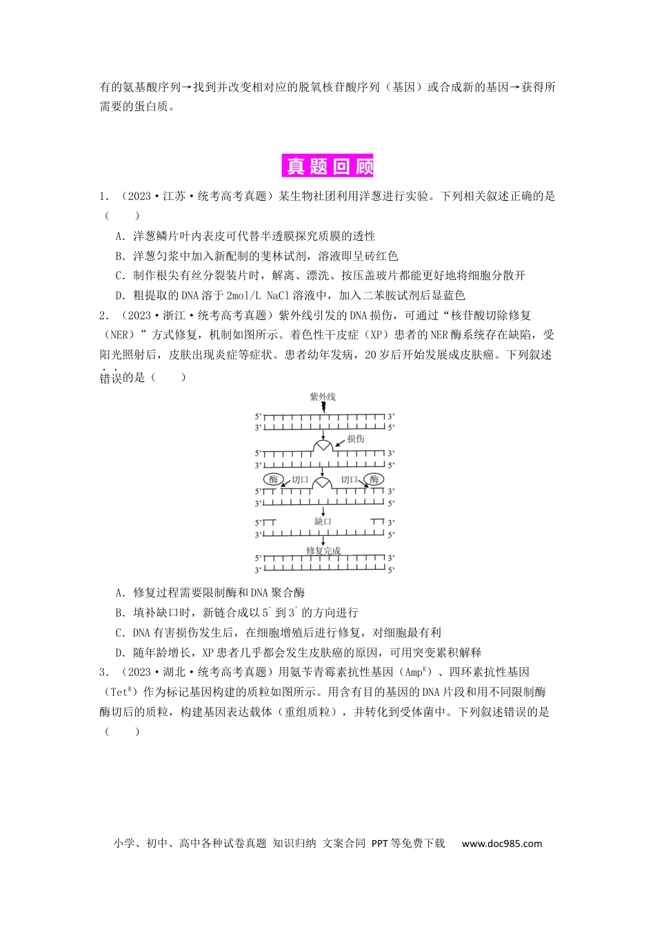 专题24 基因工程（原卷版）.docx