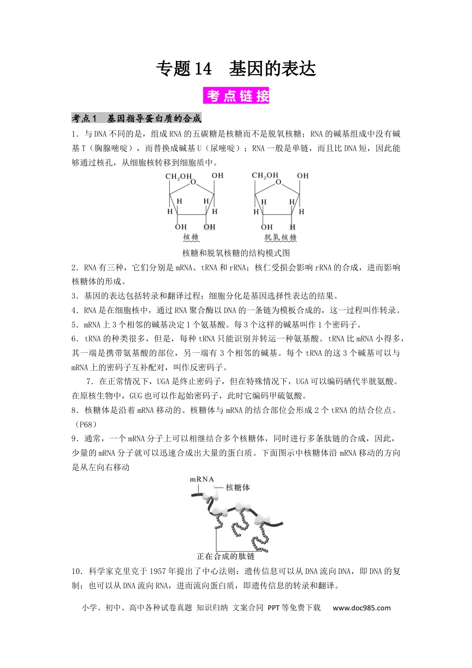 专题14 基因的表达（原卷版）.docx