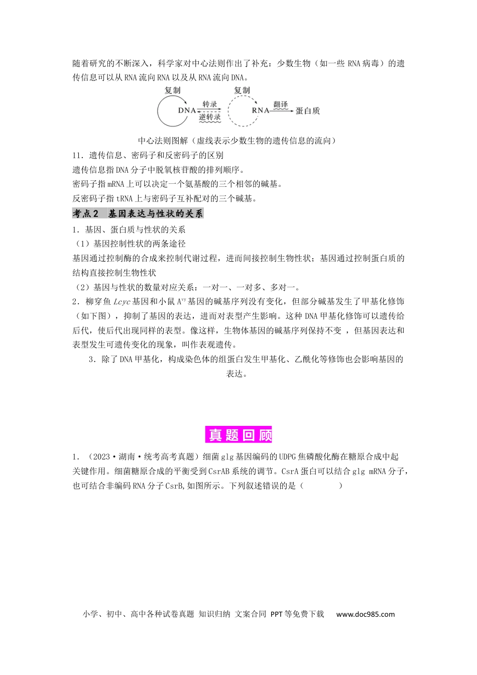 专题14 基因的表达（原卷版）.docx