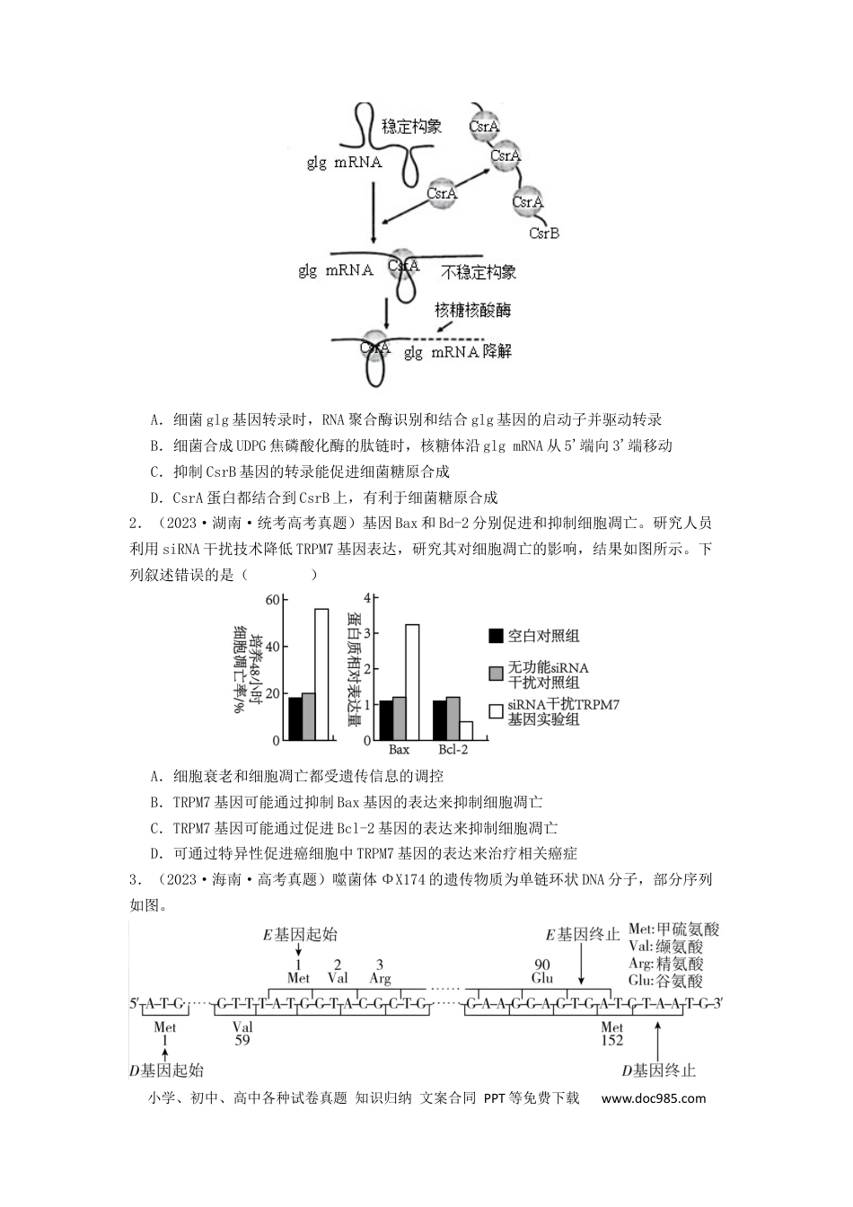 专题14 基因的表达（原卷版）.docx
