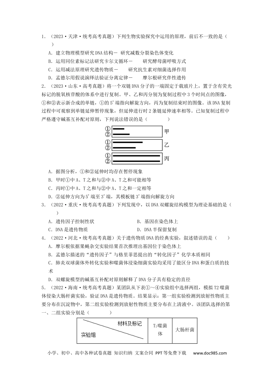 专题13 遗传的分子基础（原卷版）.docx