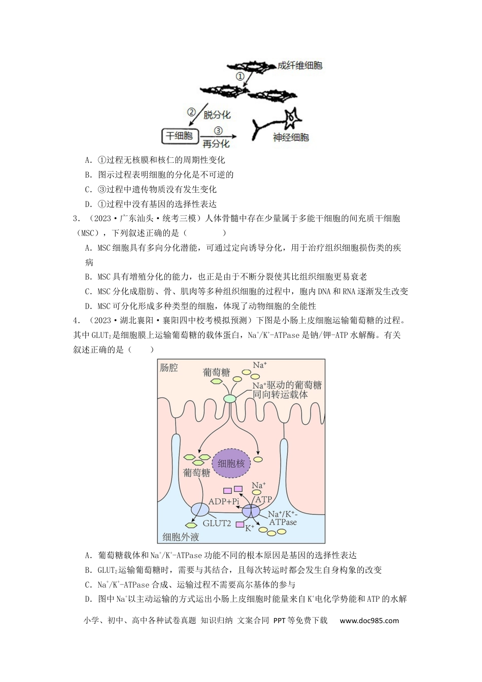 专题11 细胞的分化、衰老与死亡（原卷版）.docx