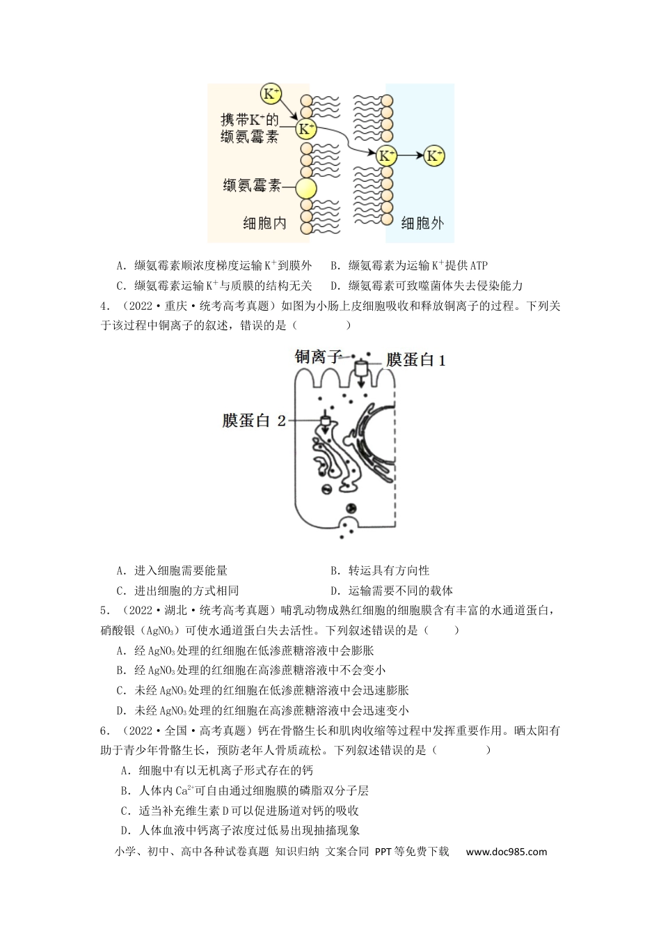 专题07 物质的运输（原卷版）.docx