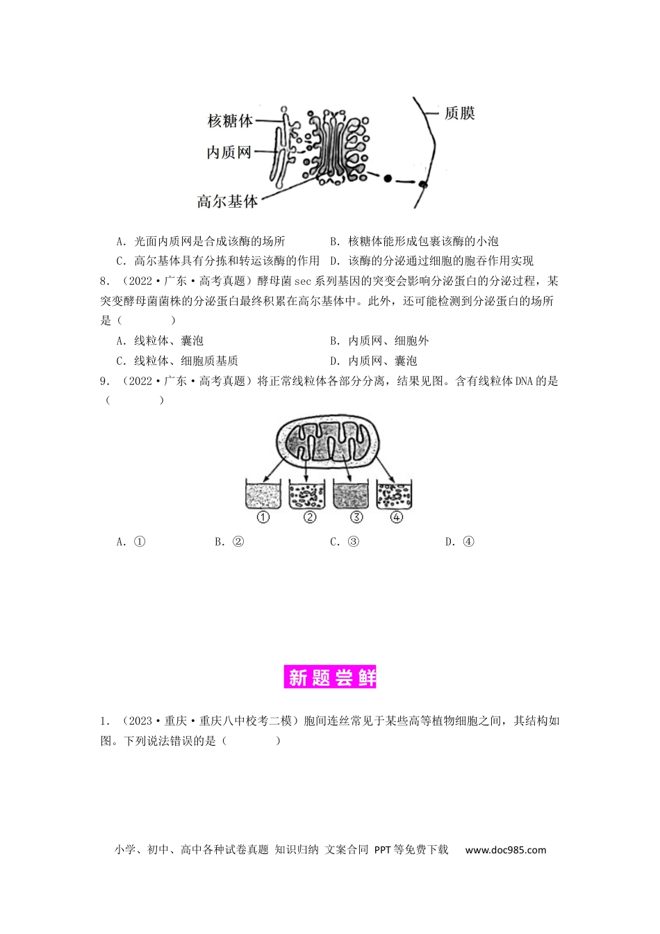 专题06 细胞器（原卷版）.docx