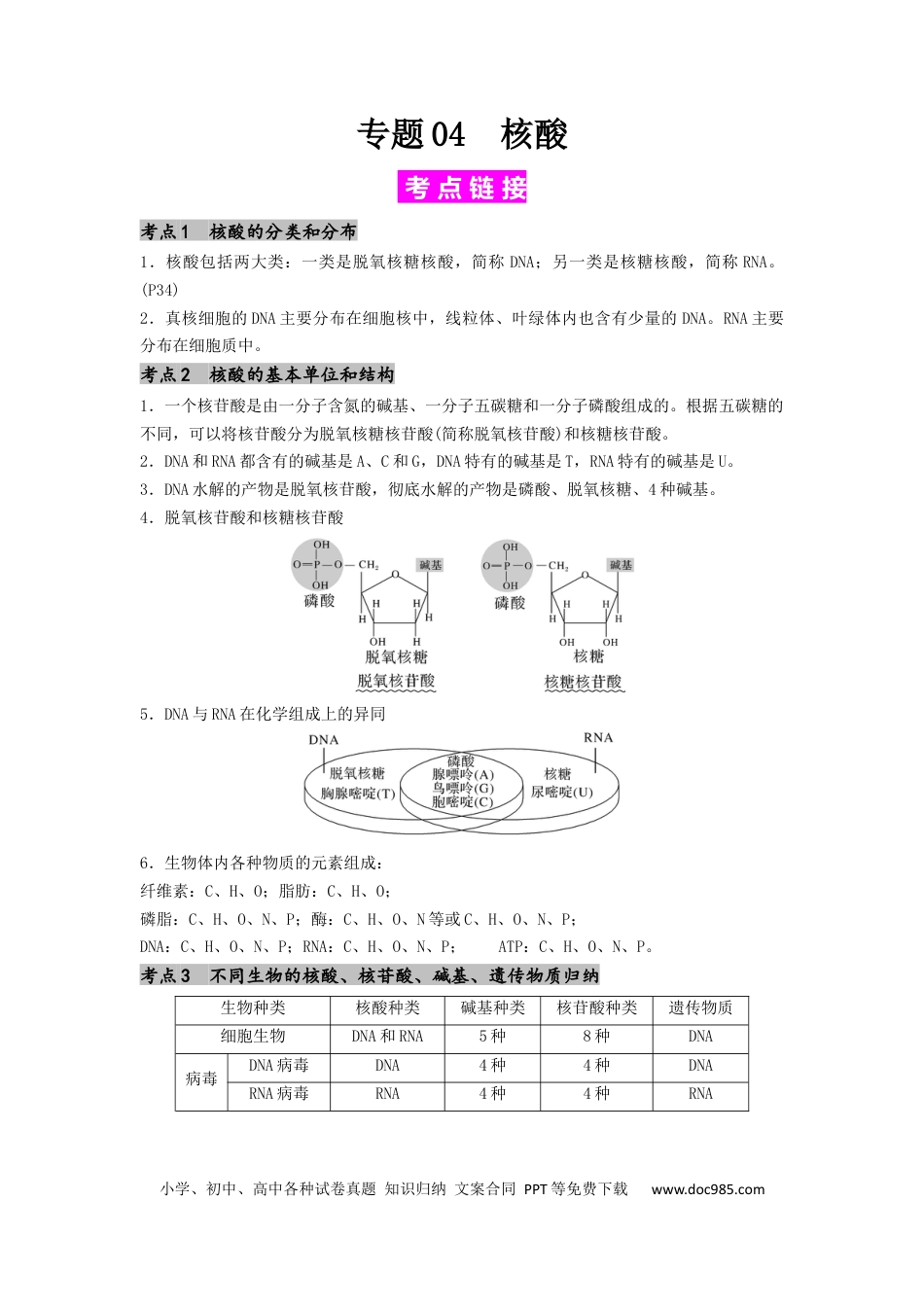 专题04 核酸（原卷版）.docx