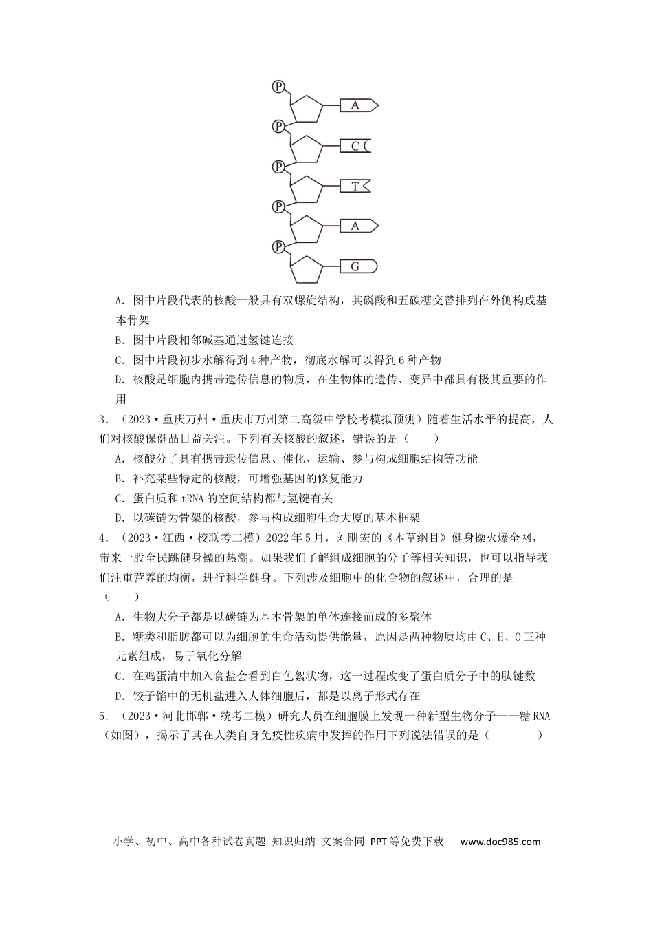 专题04 核酸（原卷版）.docx
