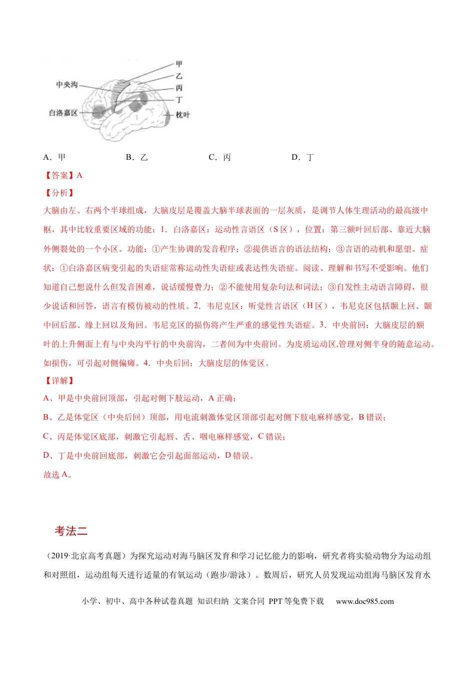 解密16 神经调节（讲义）-【高频考点解密】2021年高考生物二轮复习讲义+分层训练.docx