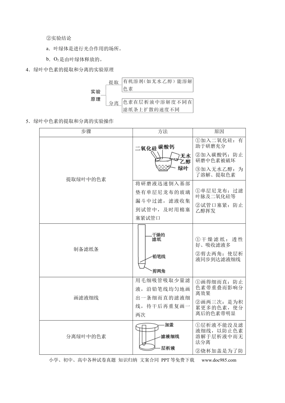 解密06 能量之源——光与光合作用（讲义）-【高频考点解密】2021年高考生物二轮复习讲义+分层训练.docx