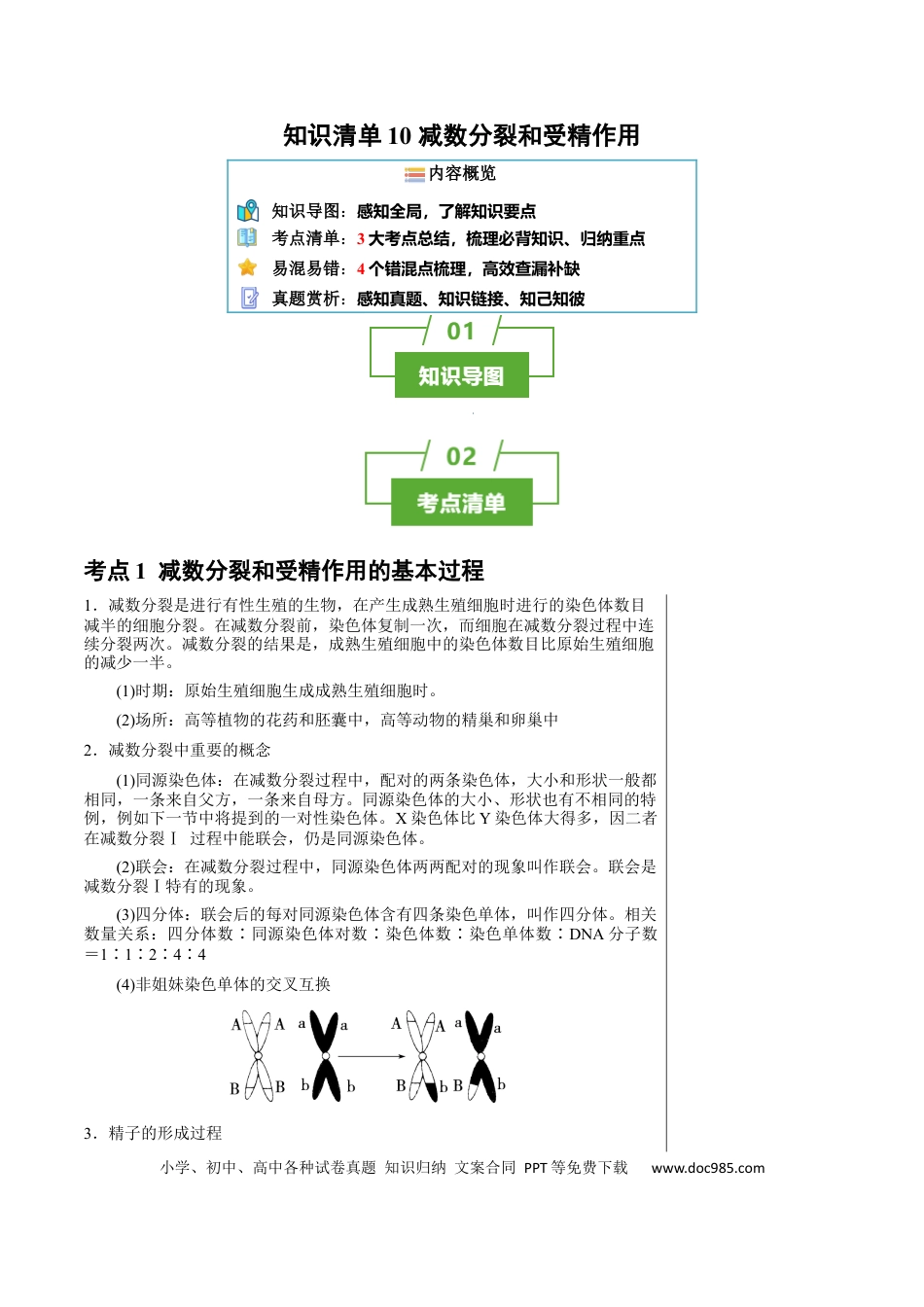 知识清单10+减数分裂和受精作用（3大考点+4个易错点）-【上好课】2025年高考生物一轮复习知识清单.docx