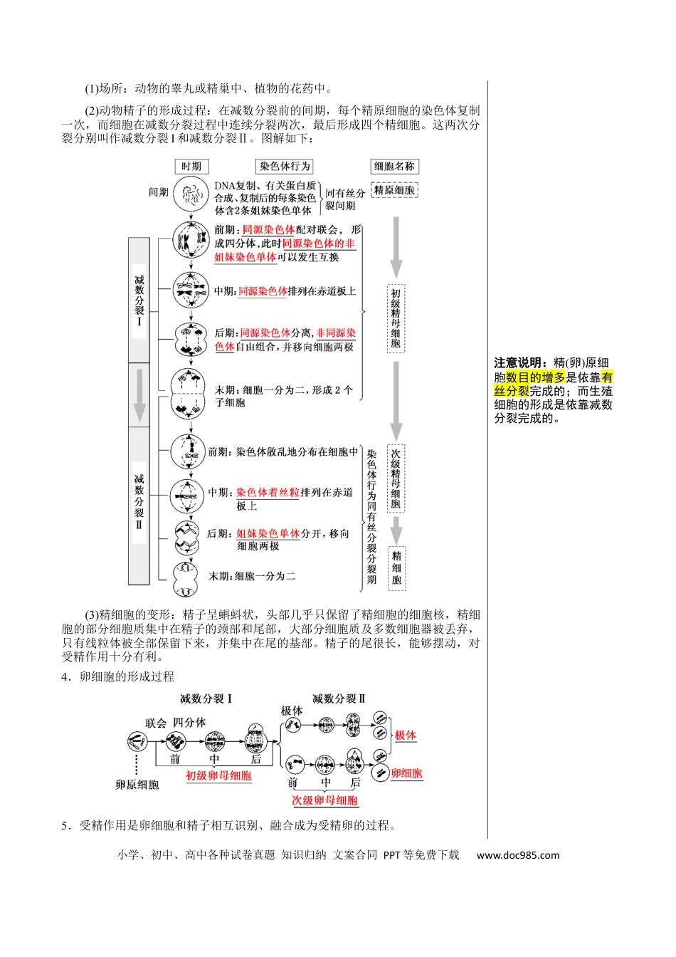 知识清单10+减数分裂和受精作用（3大考点+4个易错点）-【上好课】2025年高考生物一轮复习知识清单.docx