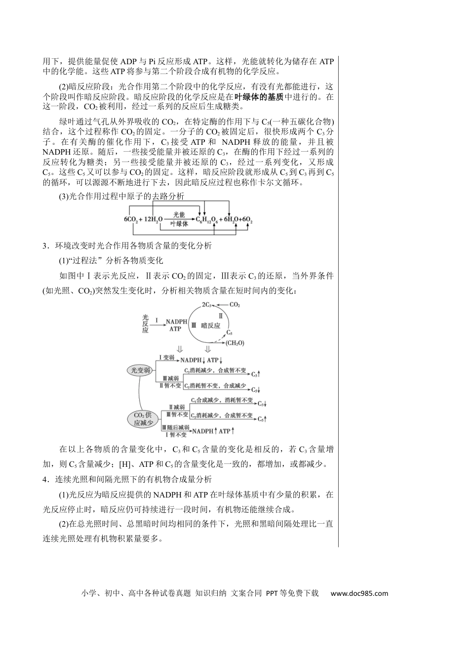 知识清单07+光合作用（4大考点+6个易错点）-【上好课】2025年高考生物一轮复习知识清单.docx
