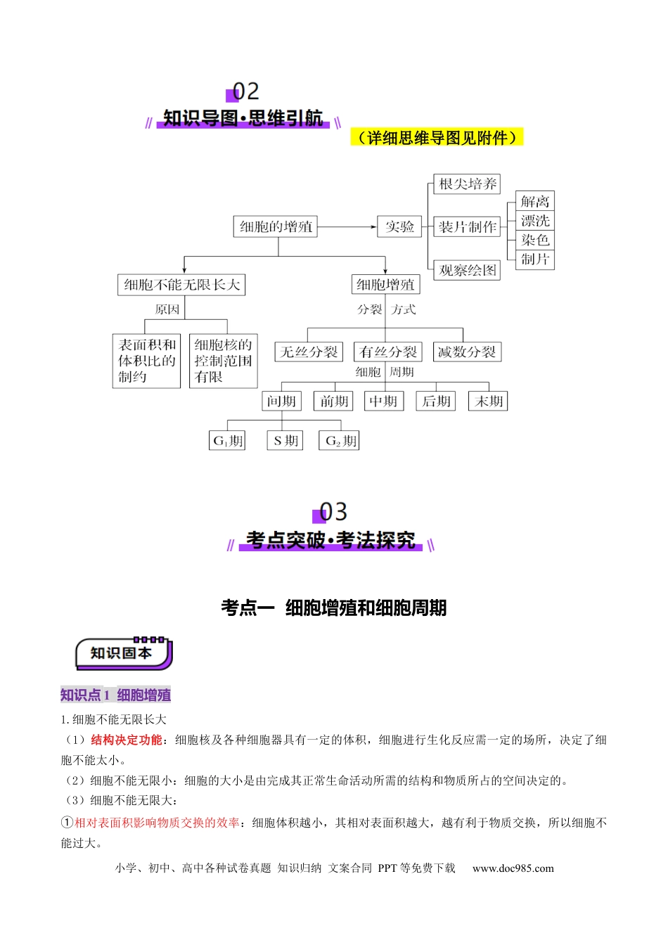 第12讲 细胞增殖（讲义）（原卷版）.docx