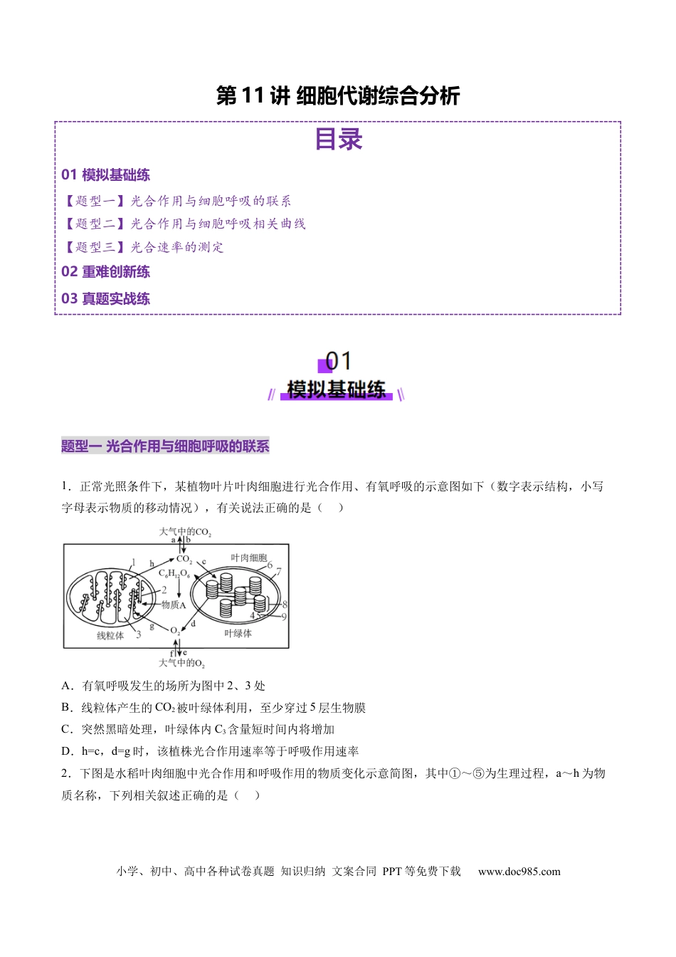 第11讲 细胞代谢综合分析（练习）（原卷版）.docx
