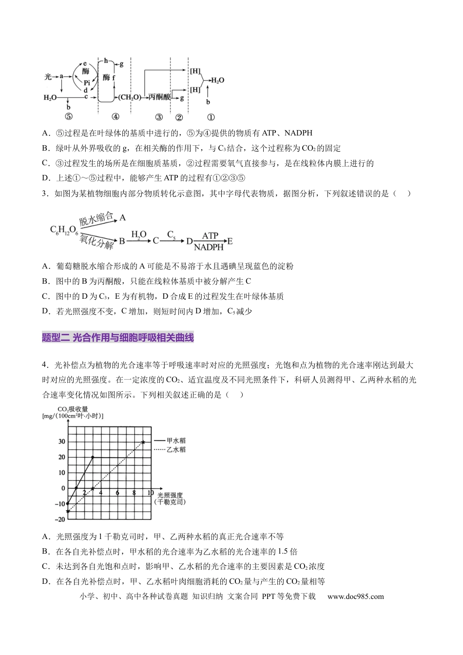 第11讲 细胞代谢综合分析（练习）（原卷版）.docx
