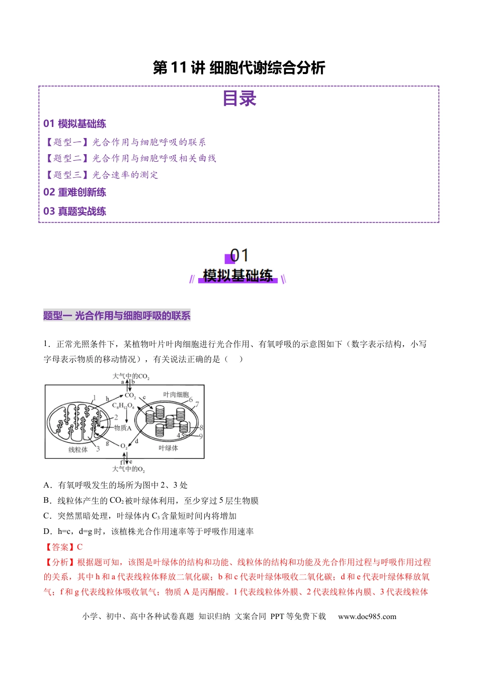 第11讲 细胞代谢综合分析（练习）（解析版）.docx