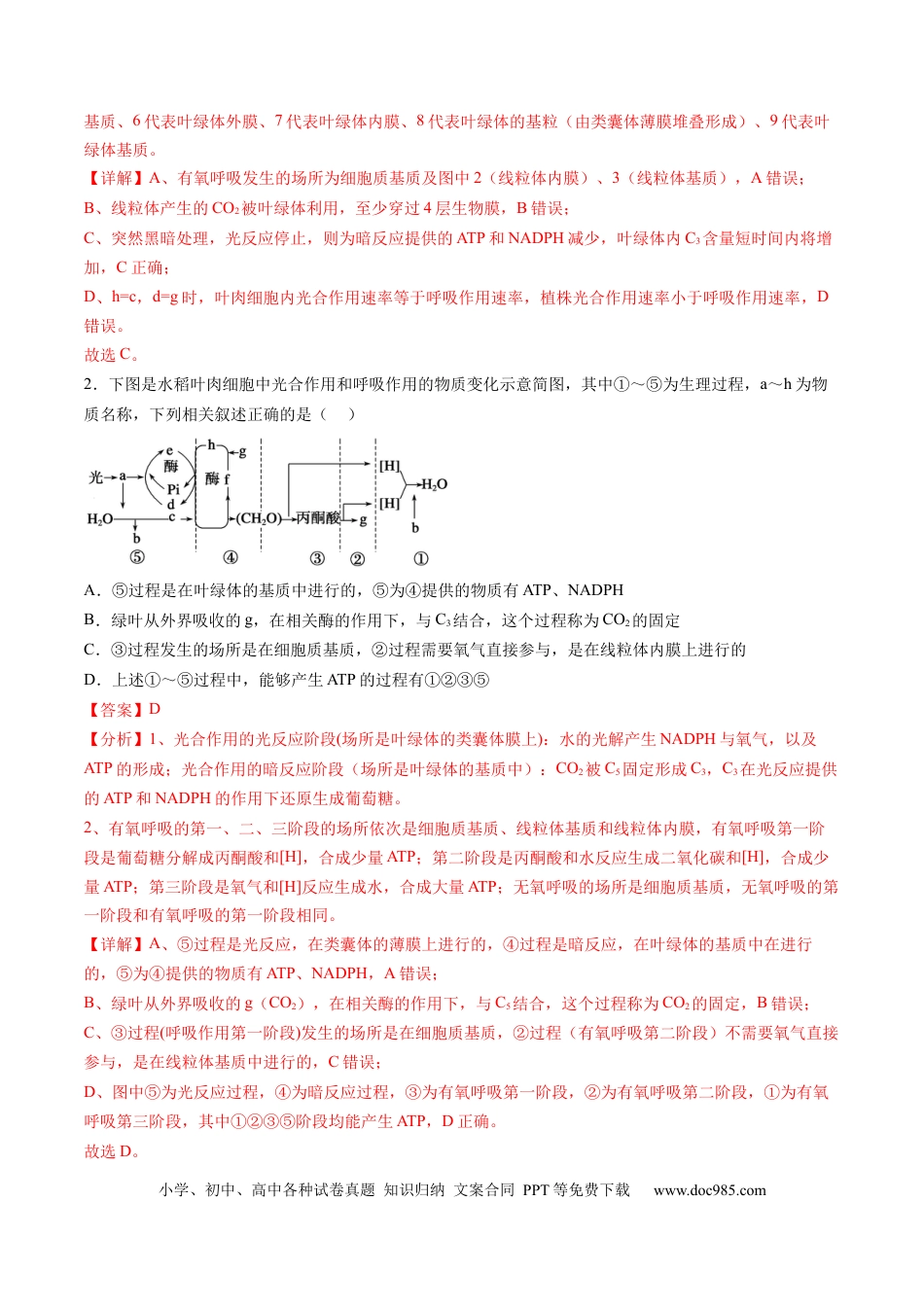 第11讲 细胞代谢综合分析（练习）（解析版）.docx