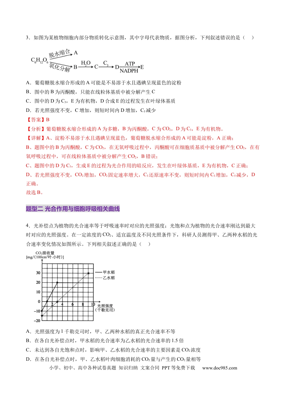 第11讲 细胞代谢综合分析（练习）（解析版）.docx