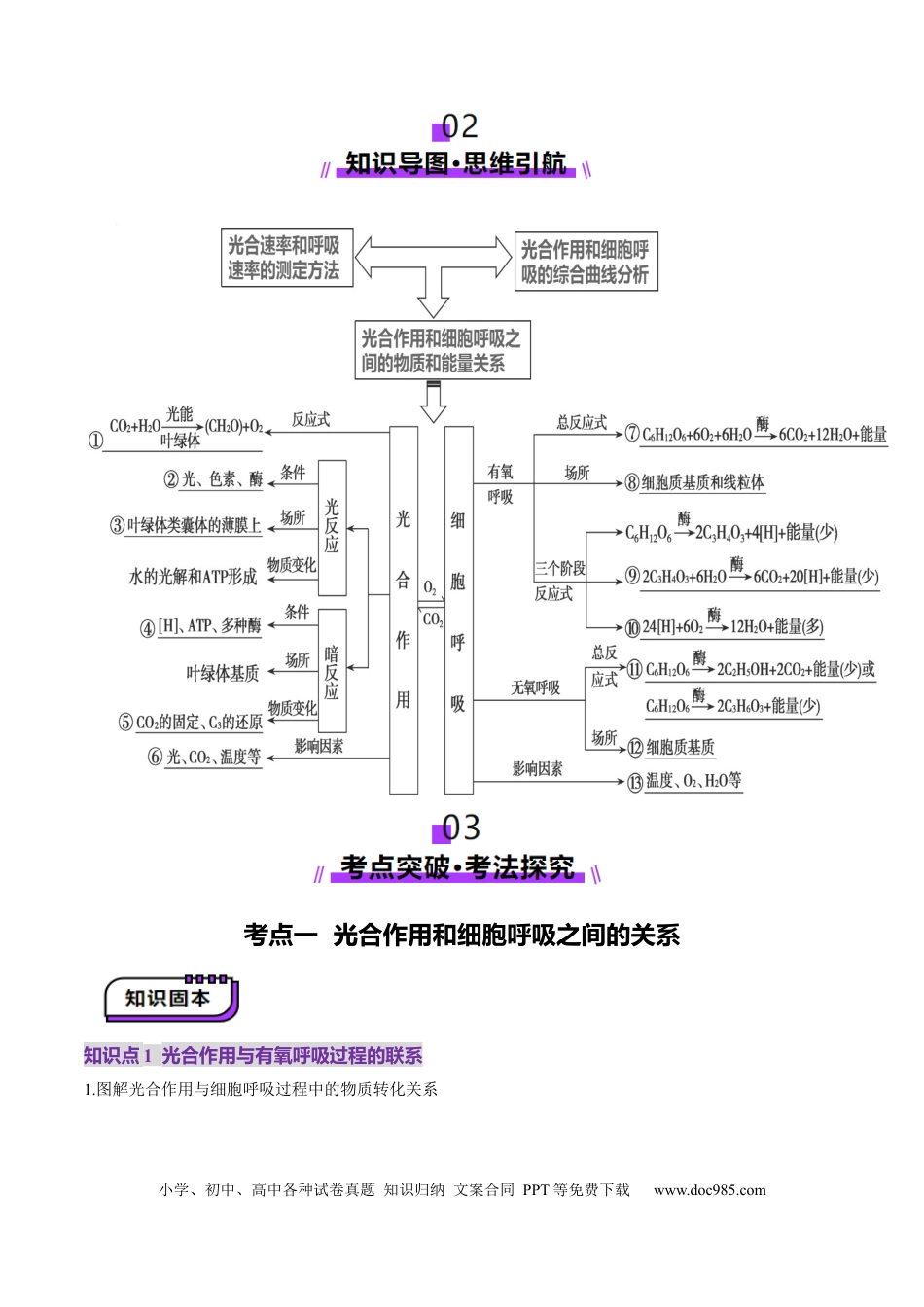 第11讲 细胞代谢综合分析（讲义）（原卷版）.docx
