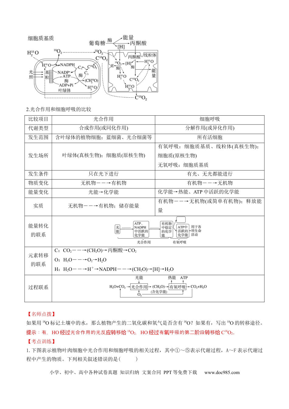 第11讲 细胞代谢综合分析（讲义）（原卷版）.docx