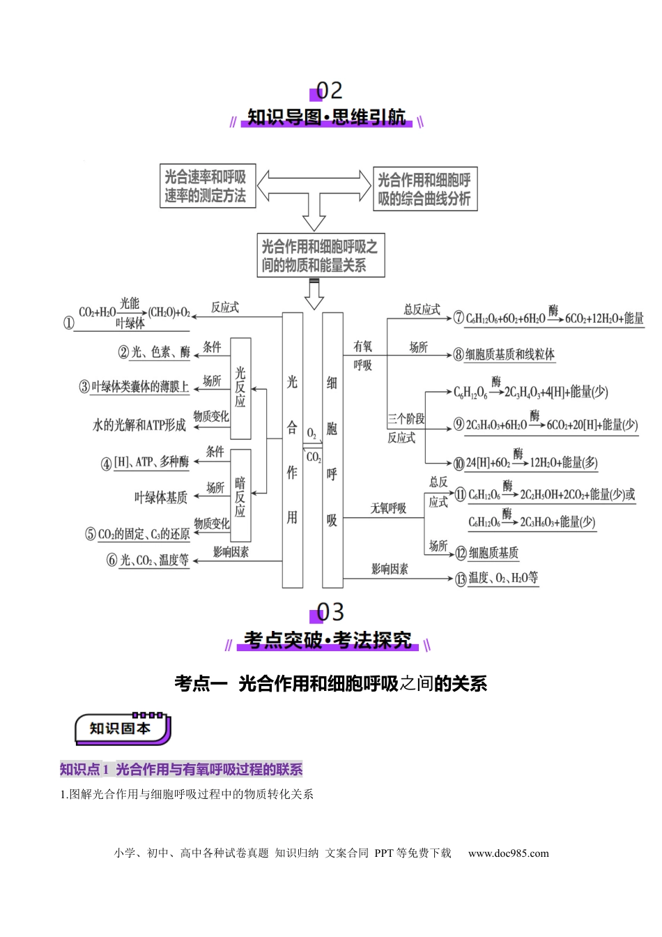 第11讲 细胞代谢综合分析（讲义）（解析版）.docx