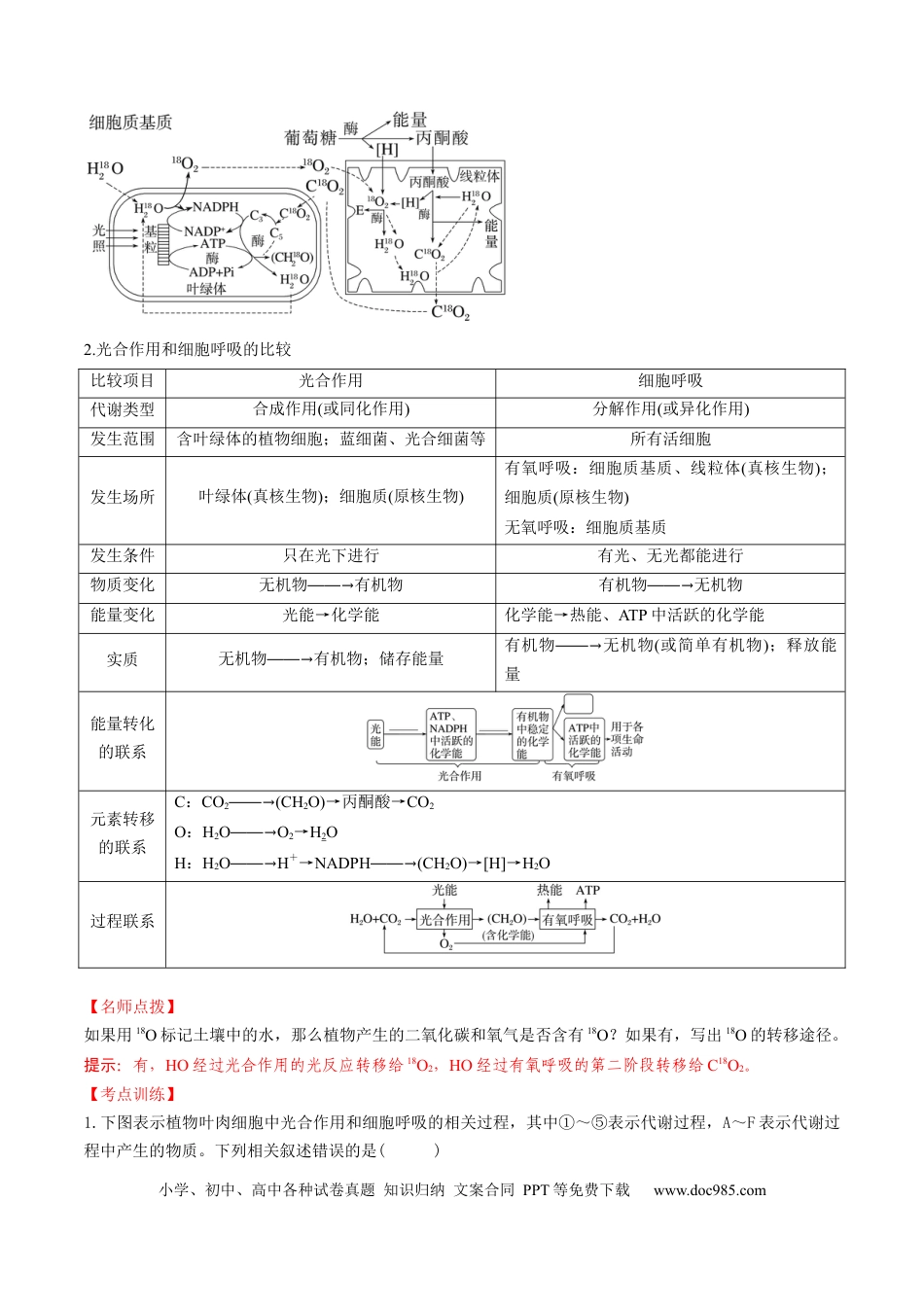 第11讲 细胞代谢综合分析（讲义）（解析版）.docx