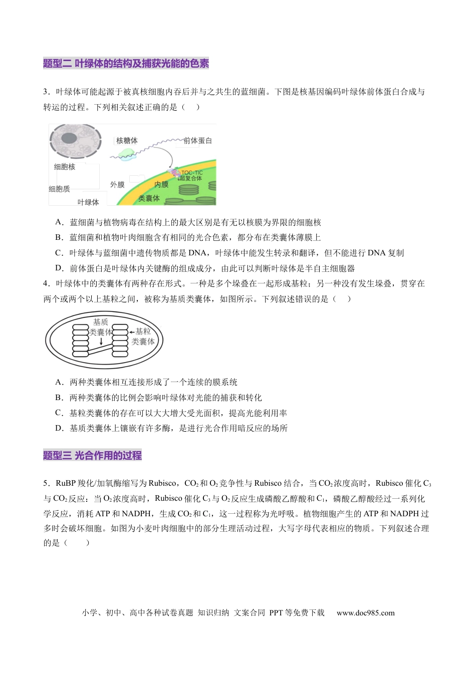 第10讲 光合作用（第一课时）（练习）（原卷版）.docx