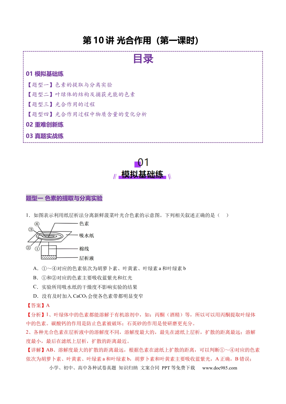 第10讲 光合作用（第一课时）（练习）（解析版）.docx