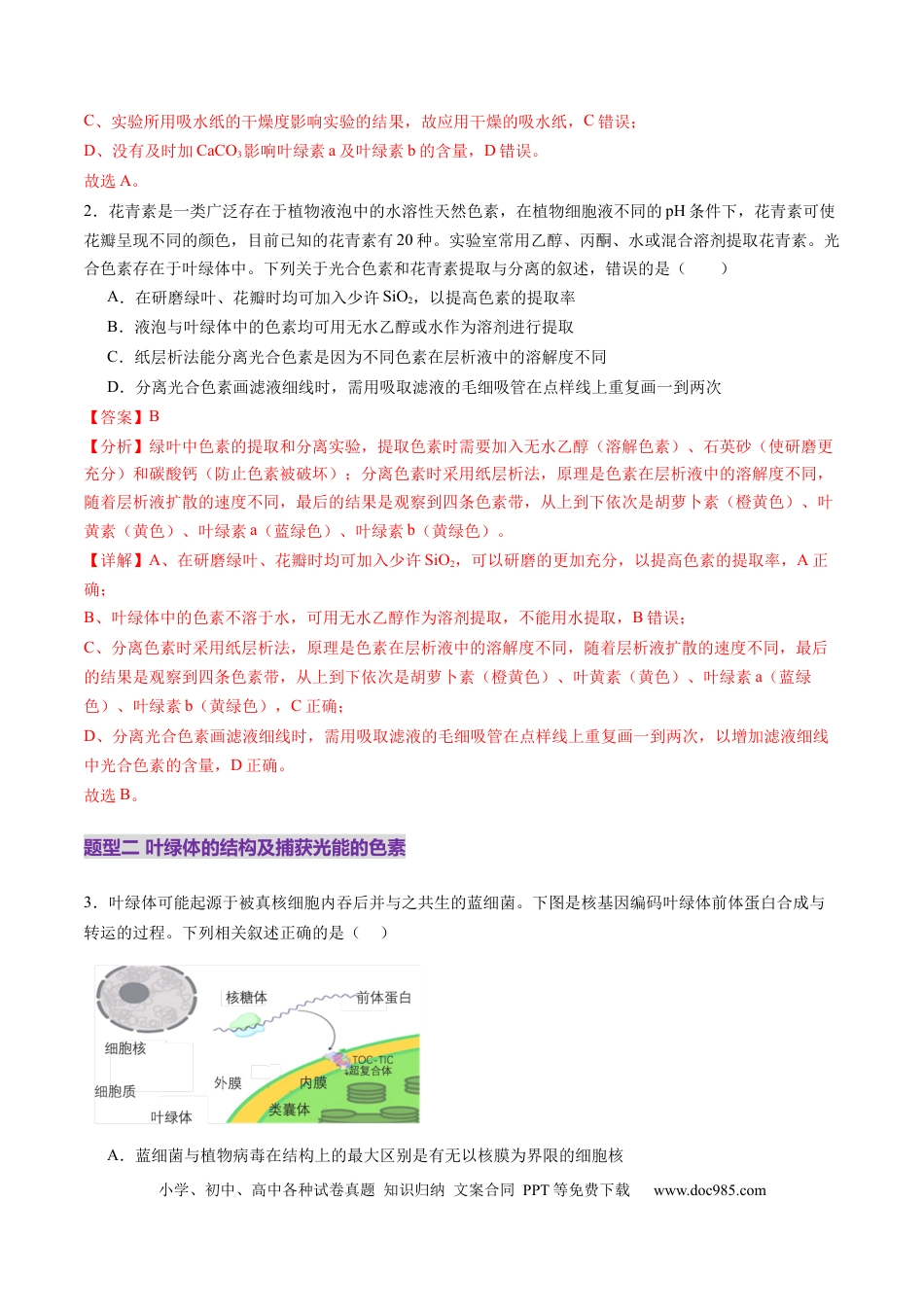 第10讲 光合作用（第一课时）（练习）（解析版）.docx