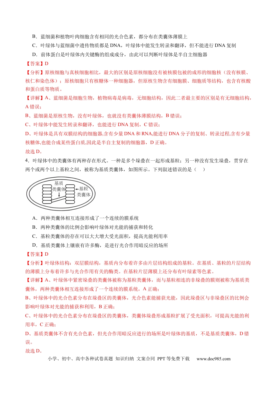 第10讲 光合作用（第一课时）（练习）（解析版）.docx