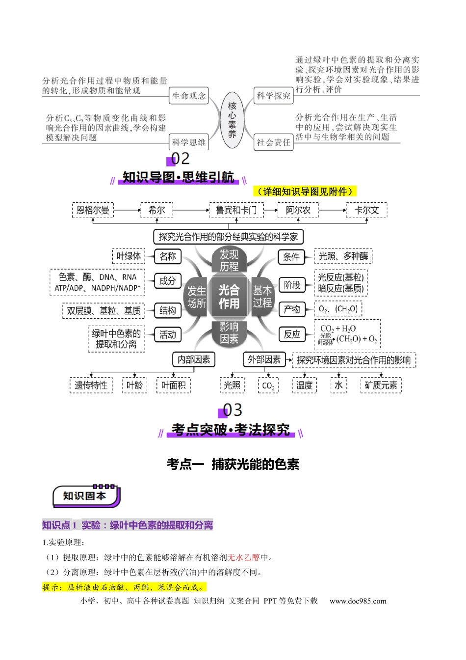 第10讲 光合作用（第一课时）（讲义）（解析版）.docx