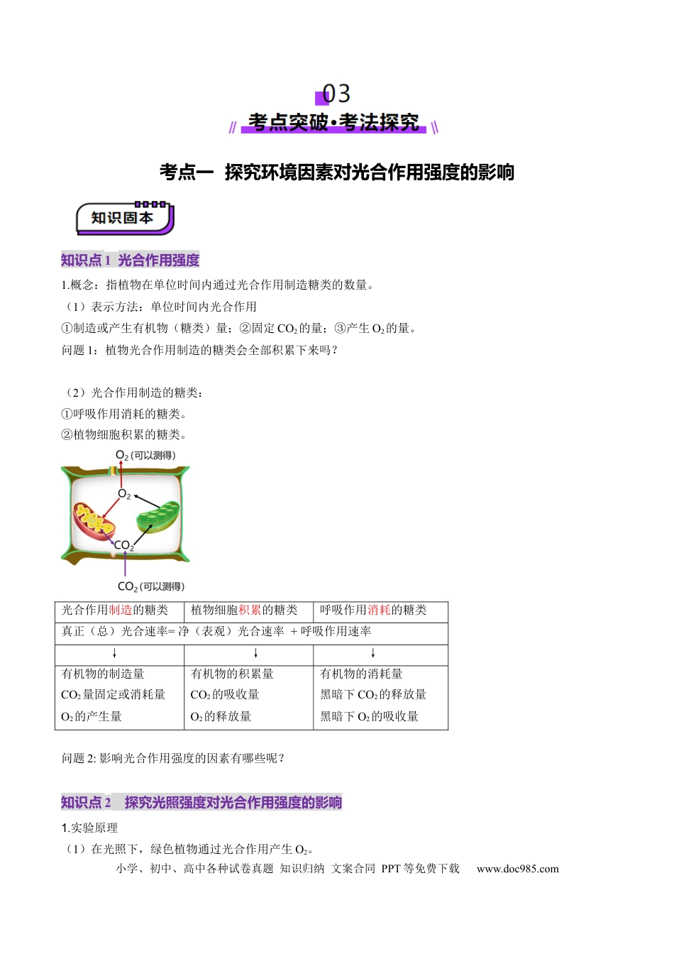 第10讲 光合作用（第二课时）（讲义）（原卷版）.docx