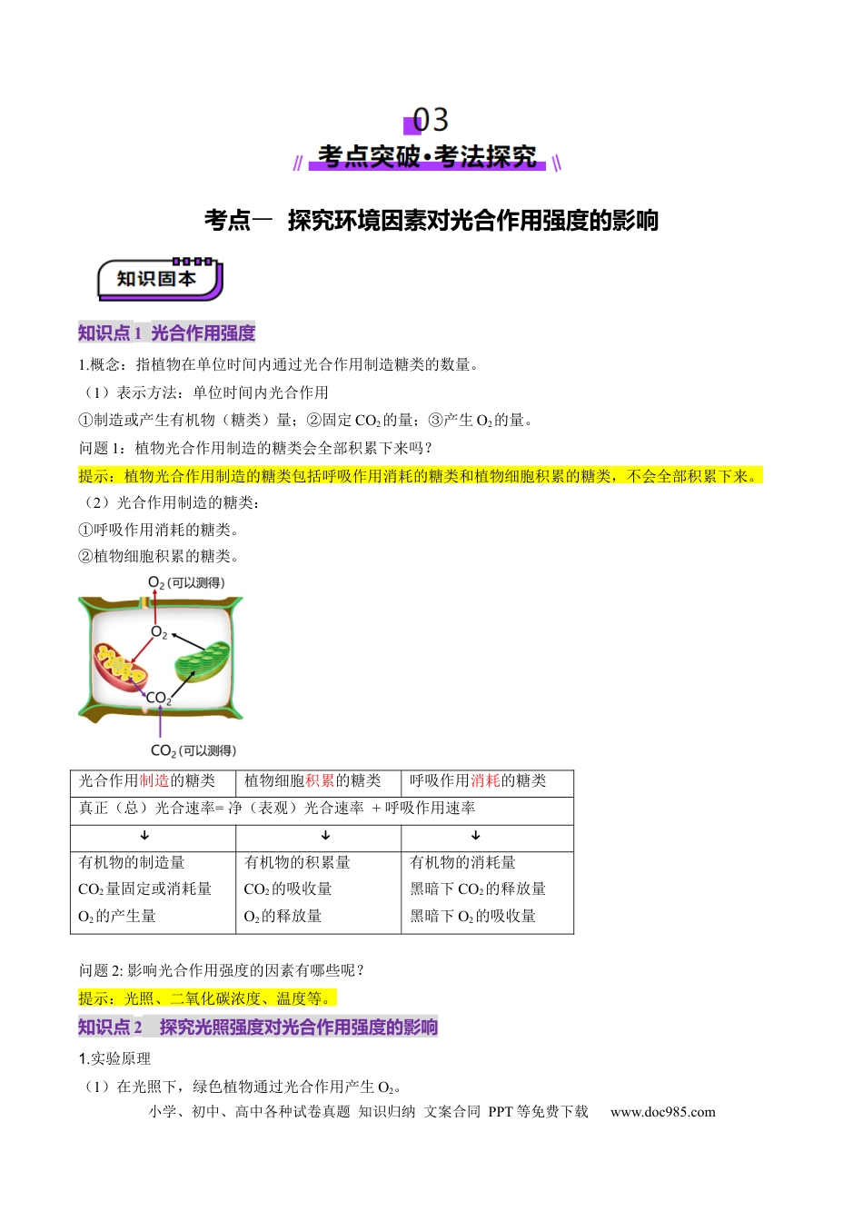 第10讲 光合作用（第二课时）（讲义）（解析版）.docx