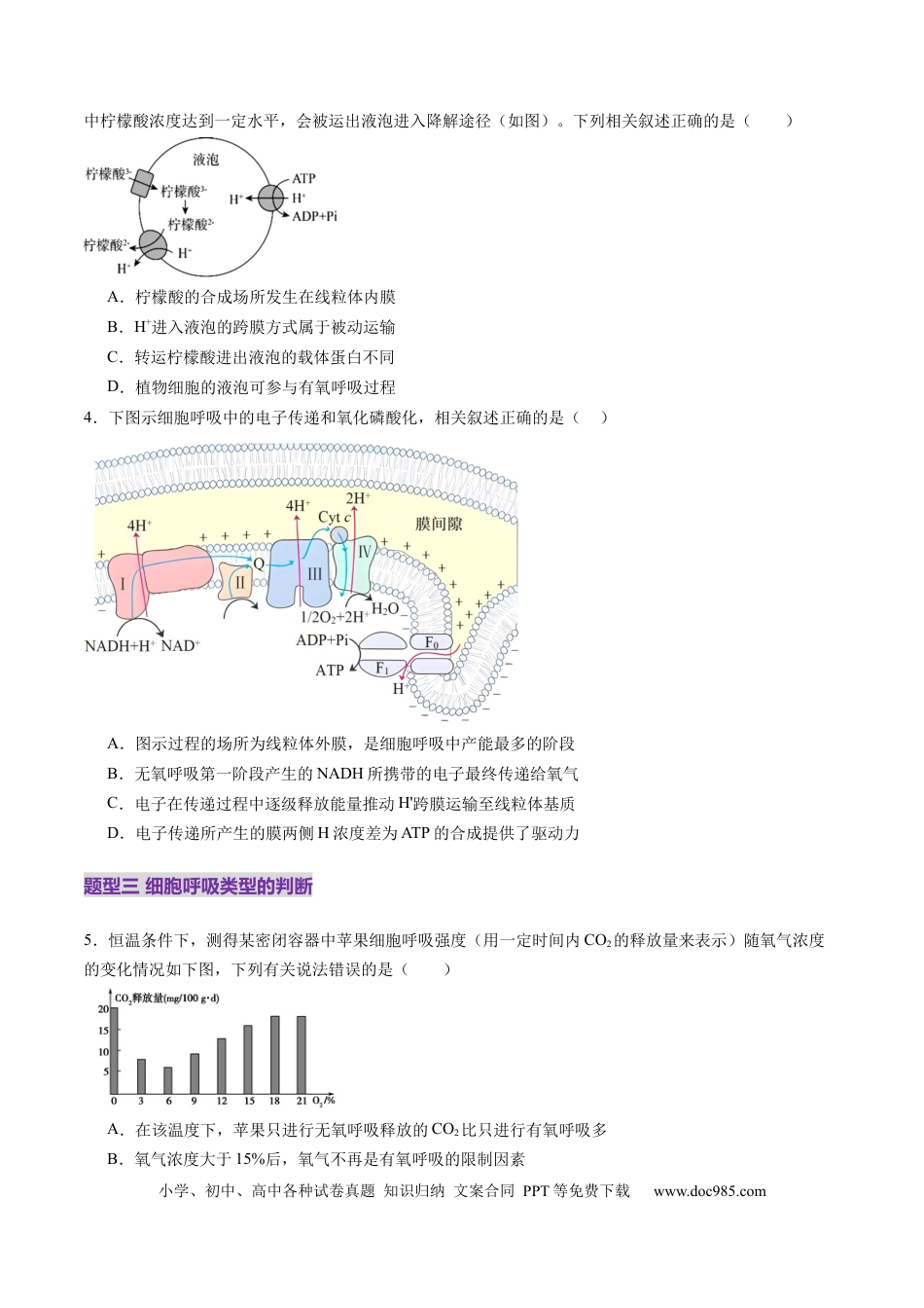 第09讲 细胞呼吸（练习）（原卷版）.docx
