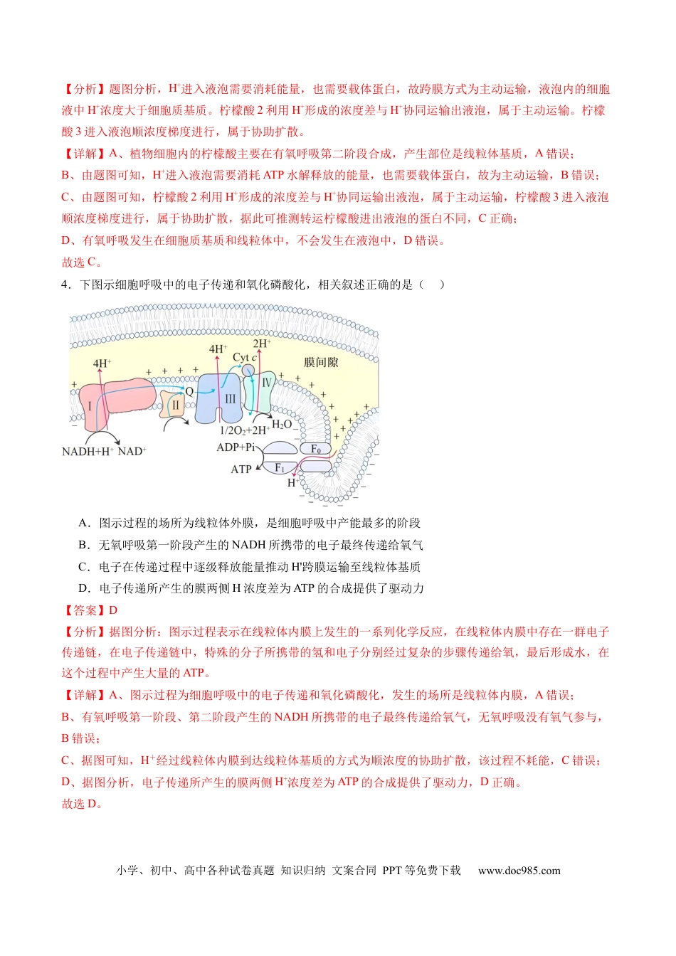 第09讲 细胞呼吸（练习）（解析版）.docx